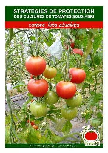 Cahier technique tutapi tomate