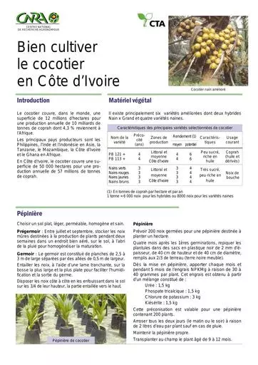 CNRA cocotier
