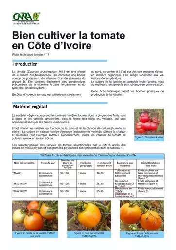Ftec tomate