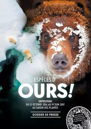 Expo espece d ours