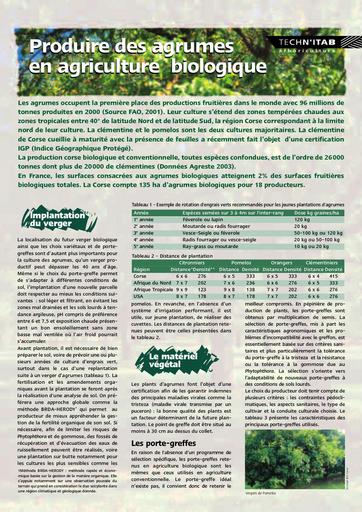 Agrumes en agriculture biologique