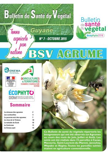 Bulletin sante vegetal7 agrumes guyane