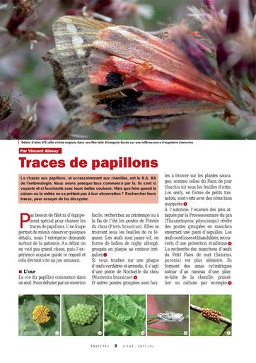 Traces de papillons albouy