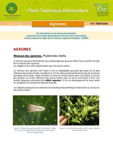 Agrumes   flash arbo bio juillet 2019