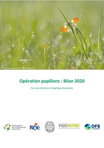 Bilan operation papillons 2020 vf