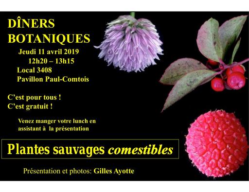 Plantes comestiblesdiners botaniques 2019