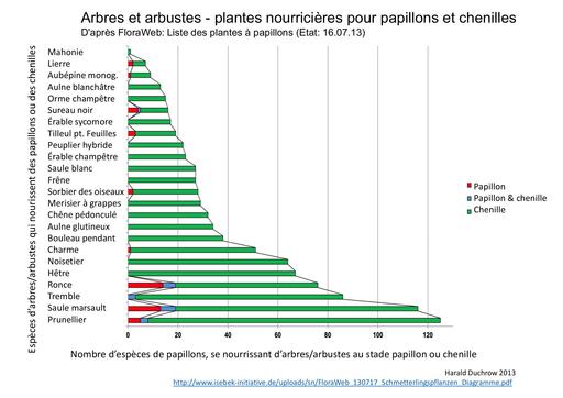 Arbres Arbustes Pour Chenilles