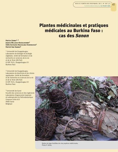 Plantes medicinales burkina faso