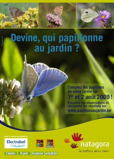 Devine qui papillonne au jardin 2009 01