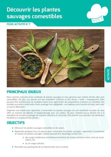 Plantes sauvages comestibles activité 7