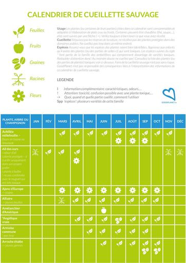 Calendrier de cueillette sauvage 2016