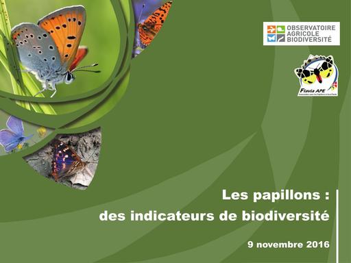 7 papillons indicateurs de biodievrsite intervention flavia