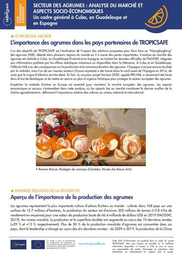 Importance des agrumes  payes partenaires   projet tropicsafe