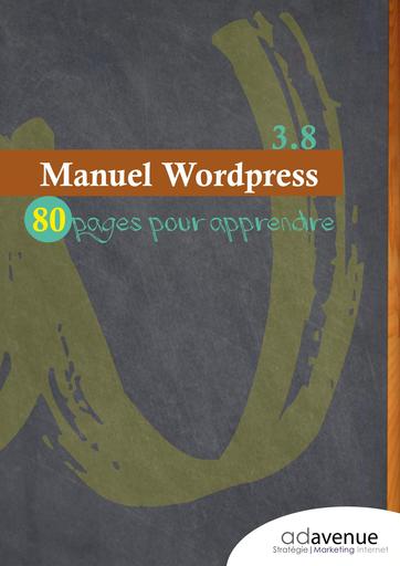Manuel wordpress
