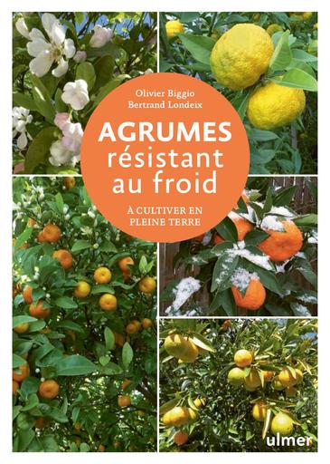 Les agrumes resistants au froid extrait