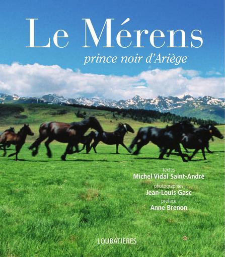 Merens prince noir d ariege