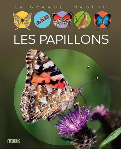 Imagerie les papillons extrait