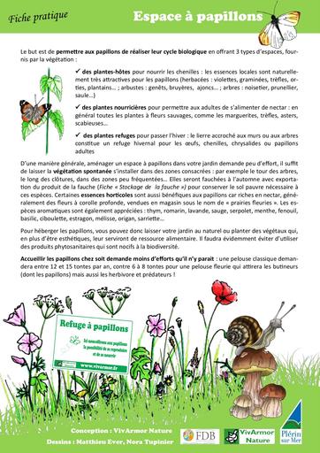 Plantes espace papillons