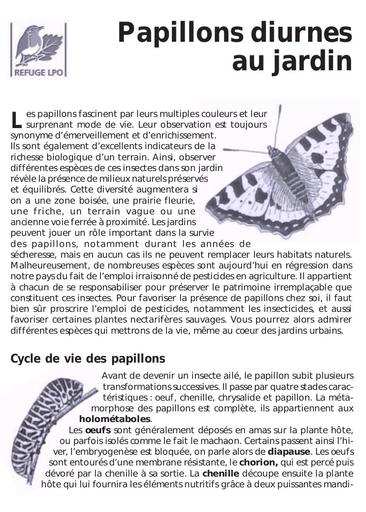 Papillons diurnes jardin plantes