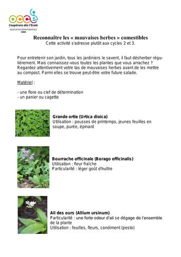 Mauvaises herbes comestibles