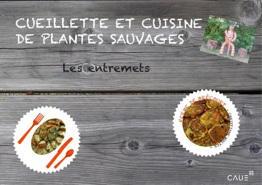 Cueillette et cuisine plantes sauvages