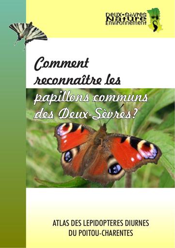 Comment reconnaitre les papillons 79