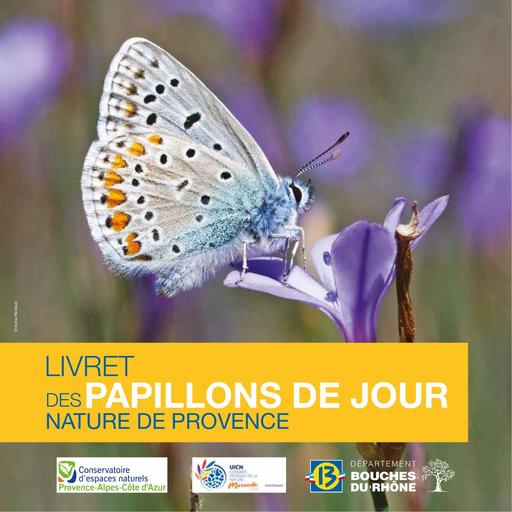 Livret papillons de jour