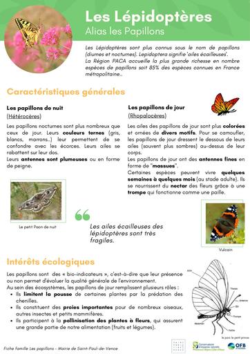 Fiche espece papillons lepidopteres SPDV