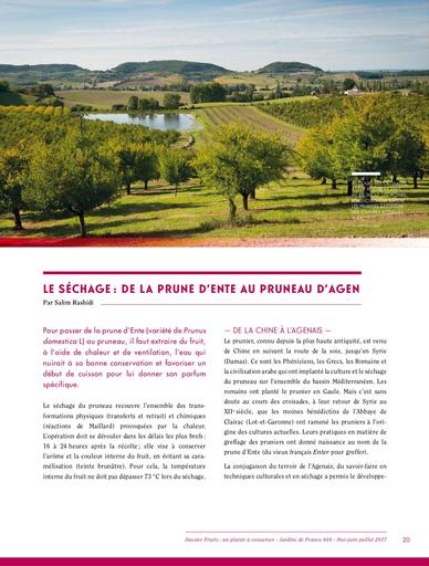 Le séchage de la prune d Ente au pruneau d Agen