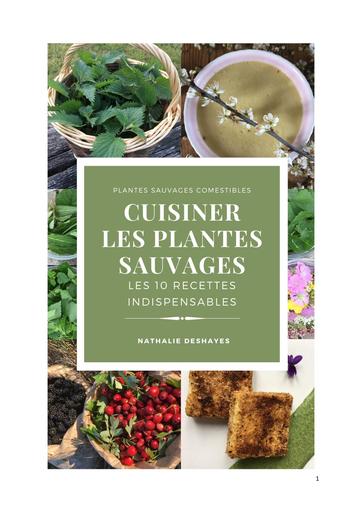 Livret les 10 recettes indispensables pour cuisiner les plantes sauvages