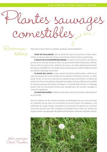 Atelier plantes sauvages comestibles