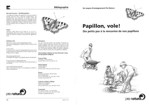 Dd papillon vole