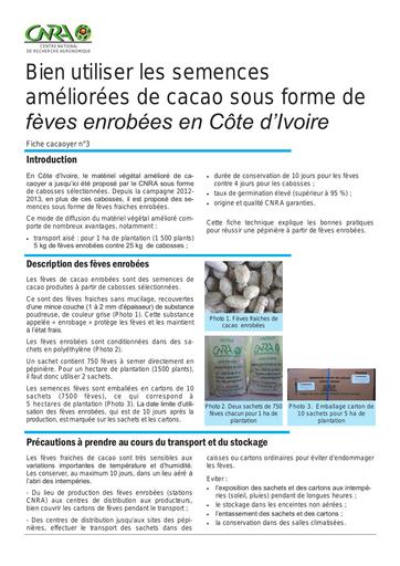 CNRA cacao3 semences enrobees