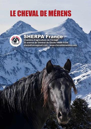 Cheval de merens sherpa france