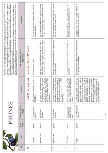 Catalogue plants prunes pruniers