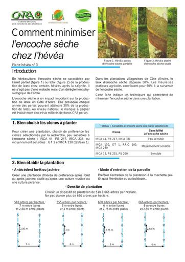 CNRA hevea 3 prevention encoche seche