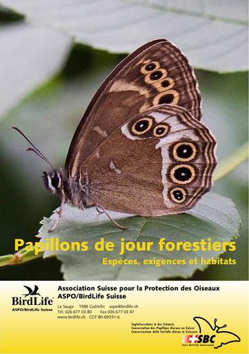 Papillons de jour forestiers