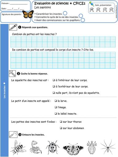 Evaluation Insectes CP CE1 LB