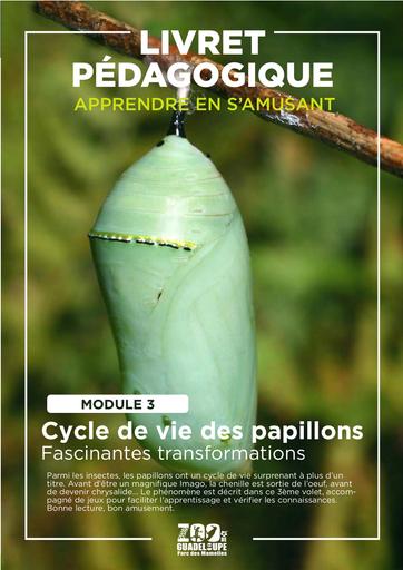 Livret pedagogique+ +cycle 2 vie papillons+ +PDM