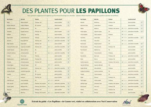 Plantes pour papillons